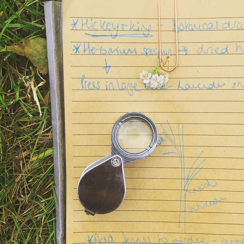 A botanist's glass on a notebook A botanist's glass on a notebook